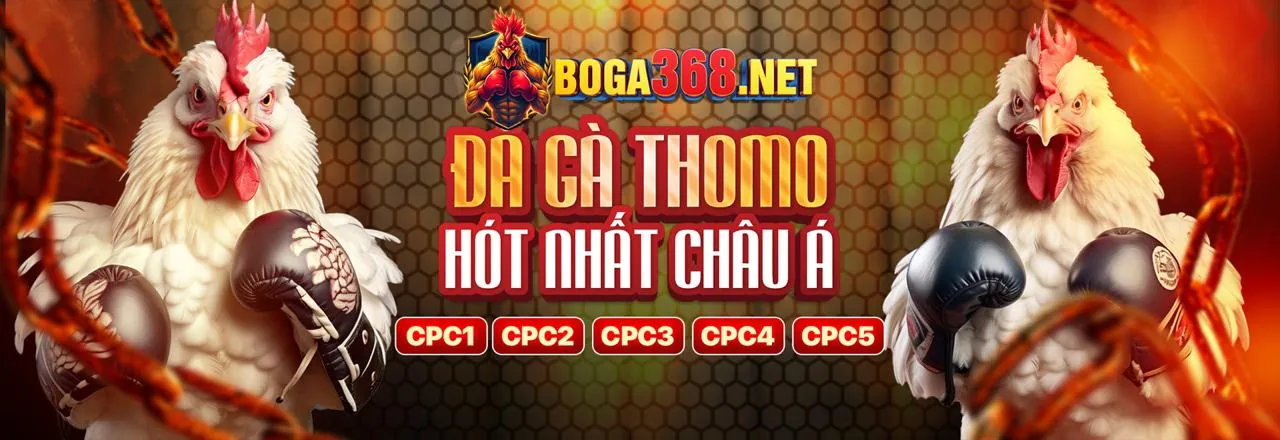Đá Gà Trực Tuyến PG9